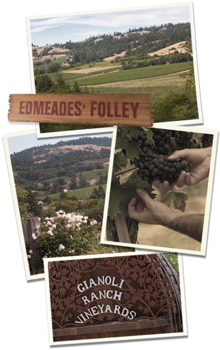Collage of Edmeades vineyards