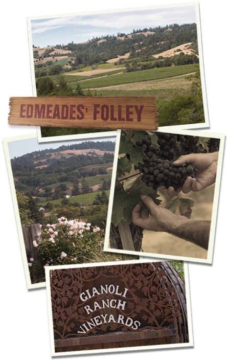 Collage of Edmeades vineyards Collage of Edmeades vineyards